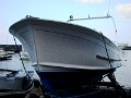 DSC01231