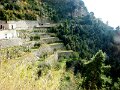 DSC01367
