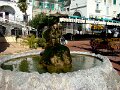 DSC01403