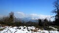 DSCN3612