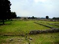 DSC01721