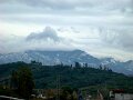 DSC01785