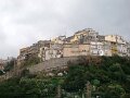 DSC01955