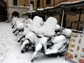 043 Rome