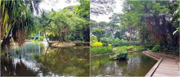 05_Day4_Jurong6