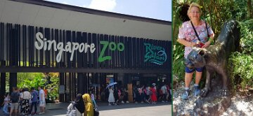 06_Day5_Zoo2