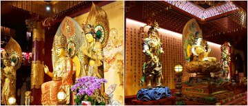 07_Day6_Buddha_Tooth11