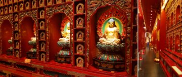 07_Day6_Buddha_Tooth9