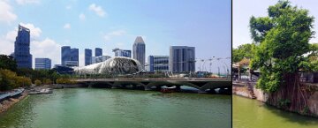 10_Day8_Merlion15