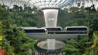 20190823_192530(0)