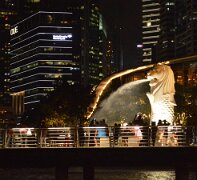 DSC_0224