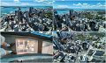 01Auckland17