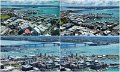 01Auckland20
