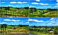 02Tauranga6