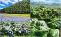 02Tauranga8