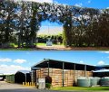 02Tauranga9