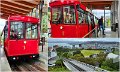 04Wellington18