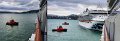 04Wellington3