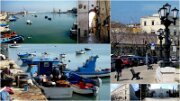 07Bari