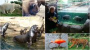 RotterdamZoo