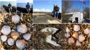 02IonianBeach