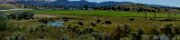 20ZionRedPan18