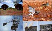 2013_017TennantCreek