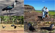2013_029 KakaduToJabiru