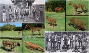 2013_040dPortHedland