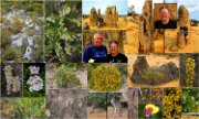 2013_50ThePinnacles