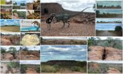 2013_006 WintonAgeOfDinosaurs