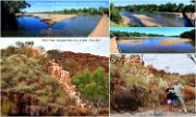 2013_036bFitzroy Crossing