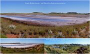 2013_041eDampier