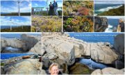 2013_58Albany2