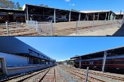 Trains9
