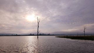 20241113_060756