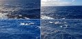 06_Vanuatu12