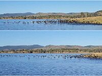 Fridaymorning - screenshots from Cormorant video
