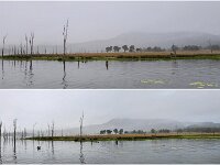 Monday morning rain squall