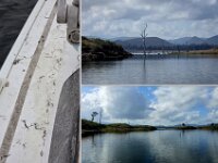 Tuesday morning with ash onthe boat