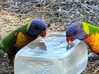 Friday at the drink station